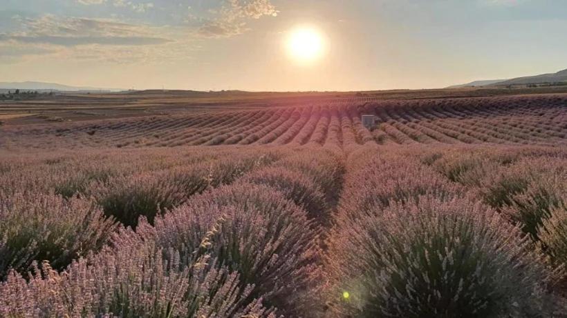 Disfruta Teruel Lägenhet Exteriör bild